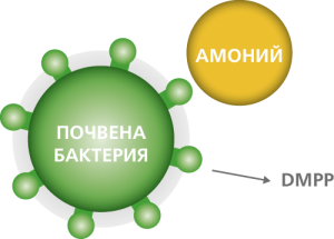 Vibelsol-2